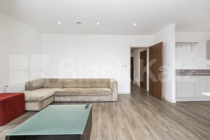 Modern Apartment Cadogan Gardens, Chelsea